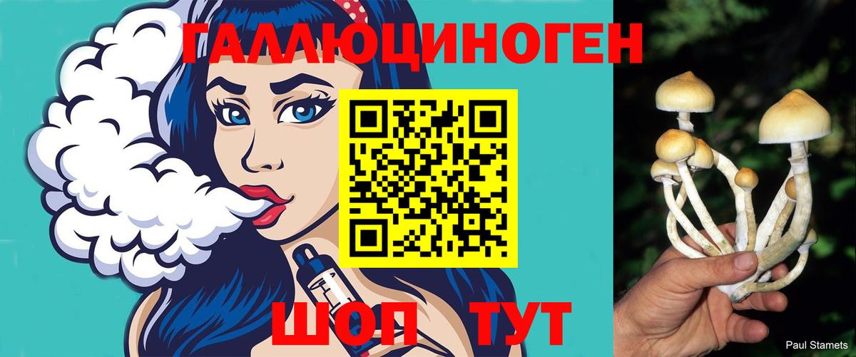 Боровичи  Псилоцибиновые грибы Psilocybine cubensis  Вход с VPN 